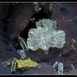 Phillipsite
Perrier, Auvergne, France
FOV 3 mm (Author: ploum)