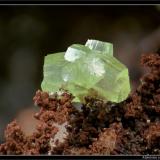 Pyromorphite
Mas Dieu, Gard, France
fov 3 mm (Author: ploum)