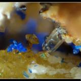 Azurite, quartz and calcite or titanite ?????
Mont-Chemin, Valais, Switzerland
FOV = 1 mm (Author: ploum)