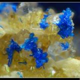 Azurite on quartz
Mont-Chemin, Valais, Switzerland
FOV = 1.1 mm (Author: ploum)