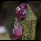 Spherocobaltite
Agoudal, Bou Azer District (Bou Azzer District), Tazenakht, Ouarzazate Province, Souss-Massa-Draâ Region, Morocco
fov = 1.8 mm (Author: ploum)