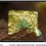 Autunite
Sabugal, Guarda, Portugal
fov 3 mm (Author: ploum)