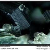 Garnet, clinochlore
Felskinn, Saas Fee, VS, Switzerland
fov 1,2 mm (Author: ploum)