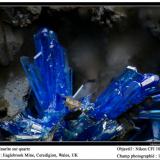Linarite on quartz
Eaglebrook Mine, Ceredigion, Wales, UK
fov 1,5 mm (Author: ploum)