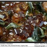 Grossular, clinochlore
Faiallo Pass, Urbe, Savona, Liguria, Italy
fov 3 mm (Author: ploum)