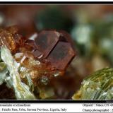 Grossular, clinochlore
Faiallo Pass, Urbe, Savona, Liguria, Italy
fov 2,5 mm (Author: ploum)