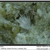 Scolecite
Valtellina, Sondrio, Lombardy, Italia
fov 2 mm (Author: ploum)