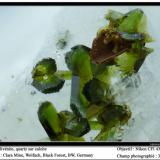 Olivenite, quartz, calcite
Clara Mine, Wolfach, Black Forest, BW, Germany
fov 3mm (Author: ploum)
