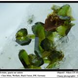 Olivenite, quartz, calcite
Clara Mine, Wolfach, Black Forest, BW, Germany
fov 3mm (Author: ploum)