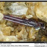 Rutile, calcite, quartz
Gries Pass, Ägene Valley, Goms, Switzerland
fov 3 mm (Author: ploum)
