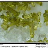 Epidote
Cadarese Quarry, Ossola Valley, Piedmont, Italy
fov 3 mm (Author: ploum)