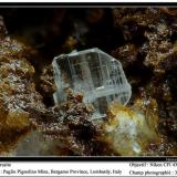 Cerussite
Paglio Pignolino Mine,  Dossena,  Brembana Valley,  Bergamo,  Lombardy, Italy
fov 3 mm (Author: ploum)