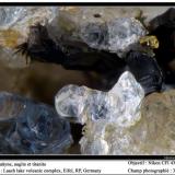 Haüyne, augite, titanite
Laach lake volcanic complex, Eifel, RP, Germany
fov 3 mm (Author: ploum)