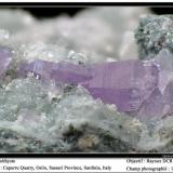 Quartz Amethyst
Capurru Quarry, Osilo, Sassari, Sardinia, Italy
fov 15 mm (Author: ploum)