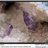 Quartz Amethyst
Capurru Quarry, Osilo, Sassari, Sardinia, Italy
fov 15 mm (Author: ploum)