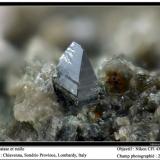 Anatase, rutile
Chiavenna, Sondrio, Lombardy, Italy
fov 2 mm (Author: ploum)