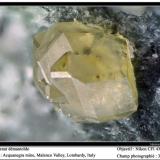 Andradite (variety demantoid)
Acquanegra Mine, Malenco Valley, Lombardy, Italia
fov 3 mm (Author: ploum)