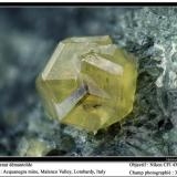 Andradite (variety demantoid)
Acquanegra Mine, Malenco Valley, Lombardy, Italia
fov 3 mm (Author: ploum)