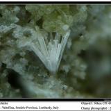 Scolecite
Valtellina, Sondrio, Lombardy, Italia
fov 2 mm (Author: ploum)