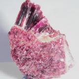 Eritrina
Bou Azzer, Ouarzazate, Marruecos.
3 x 3 cm.

Vista de la otra cara de la misma pieza.
Este lado me gusta más aunque queden escondidos los cristales más grandes. (Autor: Carles Rubio)