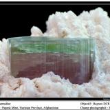 Elbaite on Quartz
Paprok Mine, Nuristan, Afghanistan
fov 35 mm (Author: ploum)