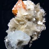 Scheelite, beryl, muscovite
Xuebaoding, Huya, Pingwu, Mianyang, Sichuan, China
102 mm x 70 mm (Author: Carles Millan)