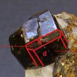 Andradita
Garnet Hill, Calaveras Co., California, EEUU
En este caso tenemos nuevamente la forma de rombododecaedro d modificado por el trapezoedro n (biseles) (Autor: Antonio Alcaide)