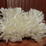 Aragonite
Carmen Mine, Santa Eulalia, Aquiles Serdán, Chihuahua, Mexico
10 cm. (Author: javmex2)