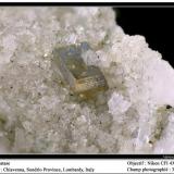 Anatase
chiavenna, Lombardia, Italy
fov 3.5 mm (Author: ploum)