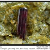 Rutile
Gries pass, Wallis, Switzerland
fov 3.5 mm (Author: ploum)