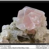 Fluorite (pink) with quartz
Les droites, Mont Blanc massif, Chamonix, France
fov  25 mm
for chris (Author: ploum)