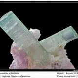 Tourmaline with lépidolite
Laghman, Pakistan
fov 35  mm (Author: ploum)