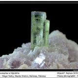 Tourmaline with lépidolite
Shigar valley, Baltistan, Pakistan
fov  20 mm (Author: ploum)