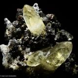 Calcita. 
Sweetwater Mine. Viburnum Trend. Reynolds County. Missouri. USA. 
7x6.2 cm. Cristal mayor 4 cm (Autor: Juan Luis Castanedo)