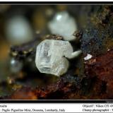 Cerussite
Paglio Pignolino Mine,  Dossena,  Brembana Valley,  Bergamo,  Lombardy, Italy
fov 3 mm (Author: ploum)