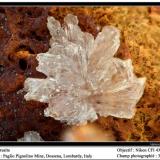 Cerussite
Paglio Pignolino Mine,  Dossena,  Brembana Valley,  Bergamo,  Lombardy, Italy
fov 3.5 mm (Author: ploum)