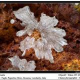 Cerussite
Paglio Pignolino Mine,  Dossena,  Brembana Valley,  Bergamo,  Lombardy, Italy
fov 3.5 mm (Author: ploum)