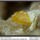 Wulfenite and hemimorphite
Paglio Pignolino Mine,  Dossena,  Brembana Valley,  Bergamo,  Lombardy, Italy
fov 1.6 mm (Author: ploum)