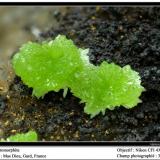 Pyromorphite
Mas Dieu, Gard, France
fov 3 mm (Author: ploum)