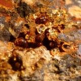 CacoxenoMinas de El Horcajo, El Horcajo, Almodóvar del Campo, Comarca Campo de Calatrava, Ciudad Real, Castilla-La Mancha, EspañaFormato Macro, tamaño milimétrico (Autor: javier ruiz martin)