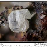 Cerussite
Paglio Pignolino Mine, Dossena, Brembana Valley, Bergamo, Lombardy, Italy
fov 2.5 mm (Author: ploum)