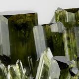 Vesuvianite
Bellecombe, Châtillon, Aosta Valley, Italy
19.94 mm
19.94 mm area with several green-dark Vesuvianite crystals (Author: Matteo_Chinellato)