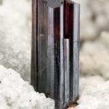 Rutile
Susa Valley, Torino Province, Piedmont, Italy
2.7 mm Rutile crystal (Author: Matteo_Chinellato)