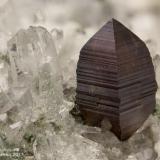 Anatase
Formazza Valley, Verbano-Cusio-Ossola Province, Piedmont, Italy
Perfect 2.73 mm red-dark Anatase crystal (Author: Matteo_Chinellato)