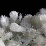 Scolecite
Formazza Valley, Verbano-Cusio-Ossola Province, Piedmont, Italy
31 mm carpet of Scolecite tufts (Author: Matteo_Chinellato)