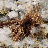 Rutile
Mt Cervandone (Scherbadung), Devero Alp (Devero Valley; Val Devero), Baceno, Ossola Valley, Verbano-Cusio-Ossola Province, Piedmont, Italy
5.46 mm orange acycular Rutile crystals (Author: Matteo_Chinellato)