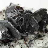 Rutile, Hematite
Mt Cervandone (Scherbadung), Devero Alp (Devero Valley; Val Devero), Baceno, Ossola Valley, Verbano-Cusio-Ossola Province, Piedmont, Italy
11.01 mm group of Hematite with Rutile crystals (Author: Matteo_Chinellato)