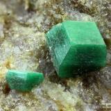 Torbernite
Bric Colmè, I Cardin, San Giacomo, Roburent, Cuneo Province, Piedmont, Italy
2.02 mm group of two green Torbernite crystals (Author: Matteo_Chinellato)