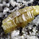 Synchysite-(Ce)
Mt Cervandone (Scherbadung), Devero Alp (Devero Valley; Val Devero), Baceno, Ossola Valley, Verbano-Cusio-Ossola Province, Piedmont, Italy
5.37 mm yellow dark Synchysite crystal (Author: Matteo_Chinellato)