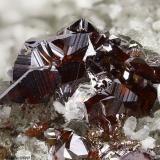 Rutile
Mt Cervandone (Scherbadung), Devero Alp (Devero Valley; Val Devero), Baceno, Ossola Valley, Verbano-Cusio-Ossola Province, Piedmont, Italy
5.29 mm group of red-dark Rutile crystals (Author: Matteo_Chinellato)